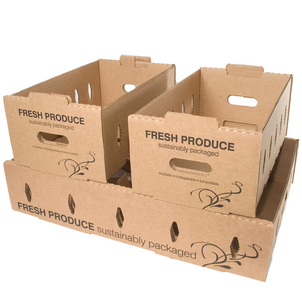 Compostable Food Containers for Foodservice & Catering - image 2