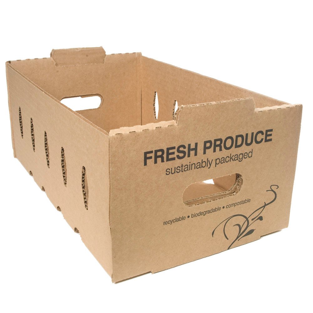 Compostable Food Containers for Foodservice & Catering - image 4