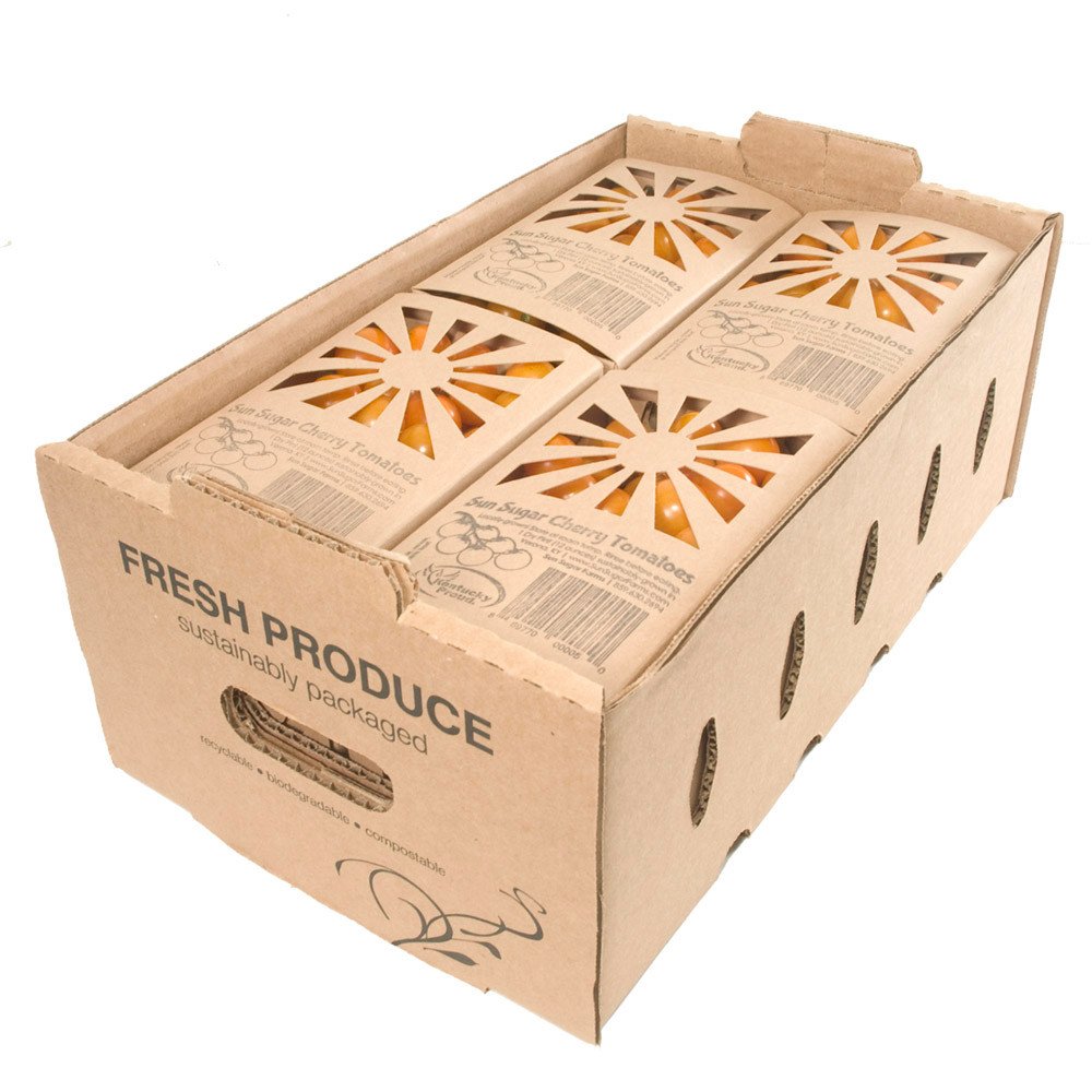 Compostable Food Containers for Foodservice & Catering - image 8