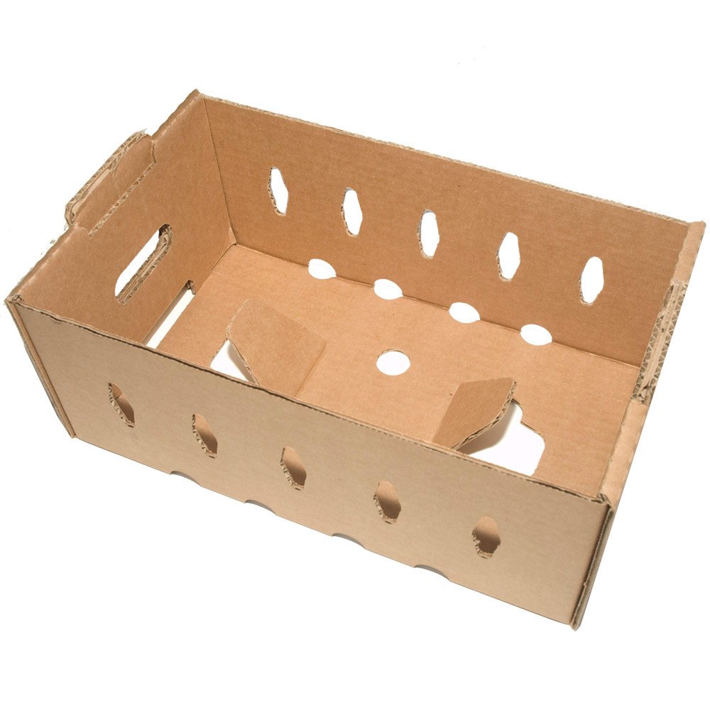 Compostable Food Containers for Foodservice & Catering - image 1