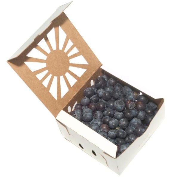 Kraft Paper Food Containers for Foodservice & Catering - image 2