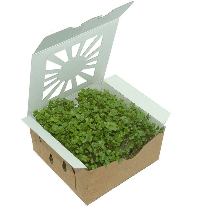 Kraft Paper Food Containers for Foodservice & Catering - image 3