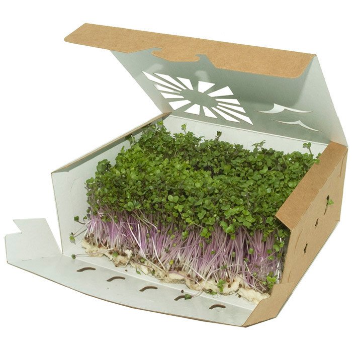 Kraft Paper Food Containers for Foodservice & Catering - image 4