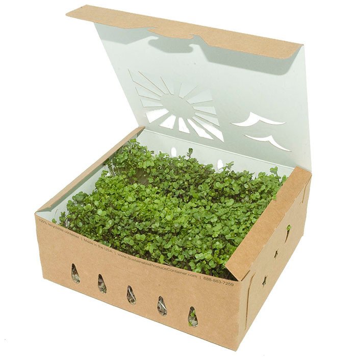 Kraft Paper Food Containers for Foodservice & Catering - image 5