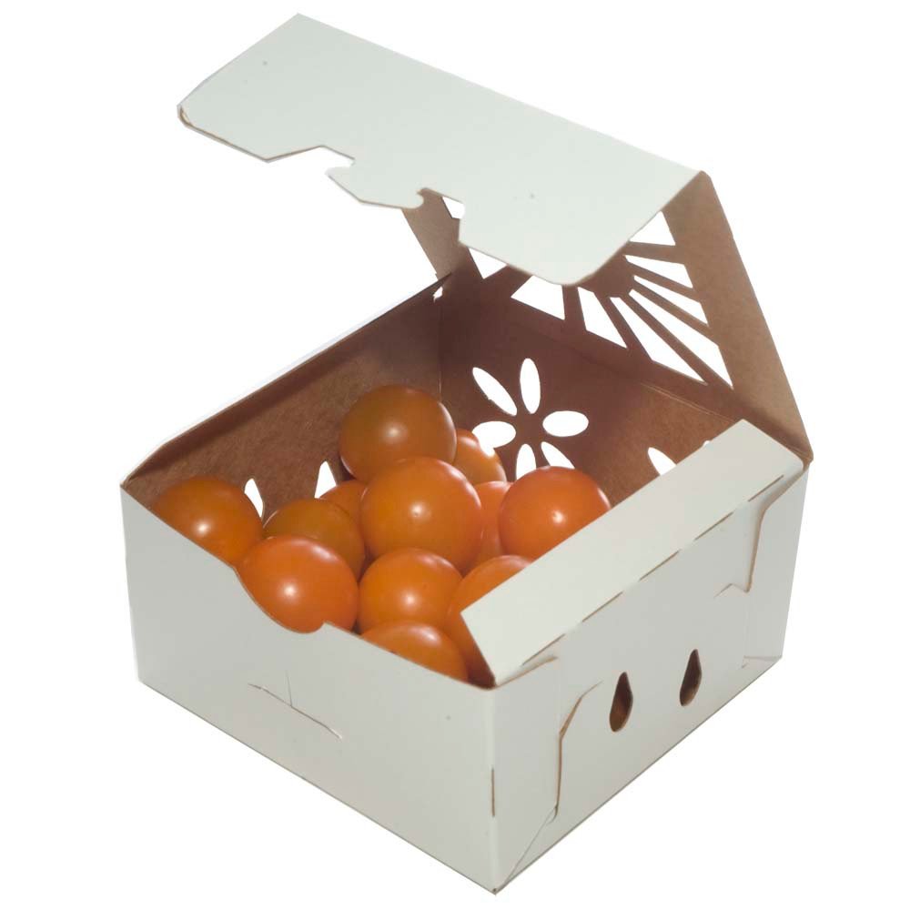 Kraft Paper Food Containers for Foodservice & Catering - image 7