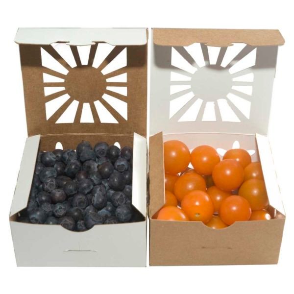 Kraft Paper Food Containers for Foodservice & Catering - image 1