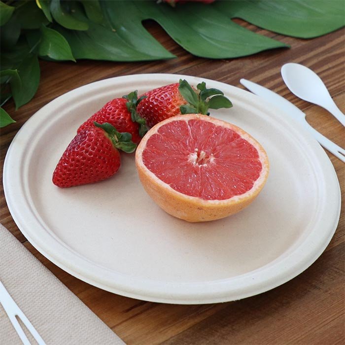 Compostable Plates for Catering, Events & Banquet Service - image 4