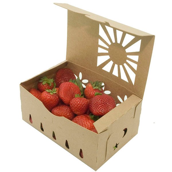 Kraft Paper Food Containers for Foodservice & Catering - image 3