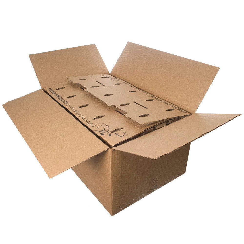 Bagasse Fiber Food Containers for Foodservice & Catering - image 2