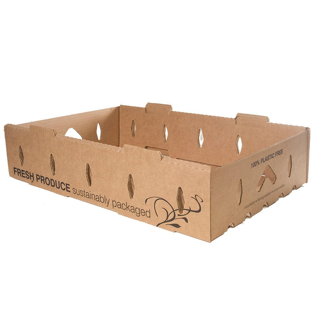 Bagasse Fiber Food Containers for Foodservice & Catering - image 3