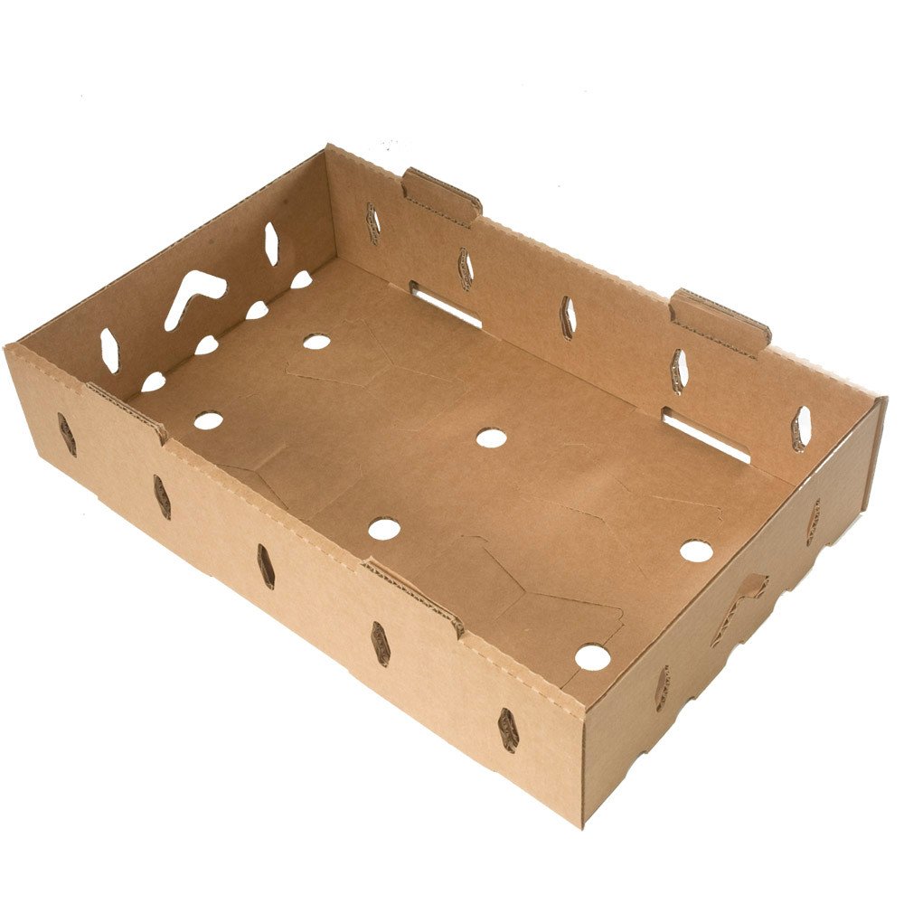 Bagasse Fiber Food Containers for Foodservice & Catering - image 6