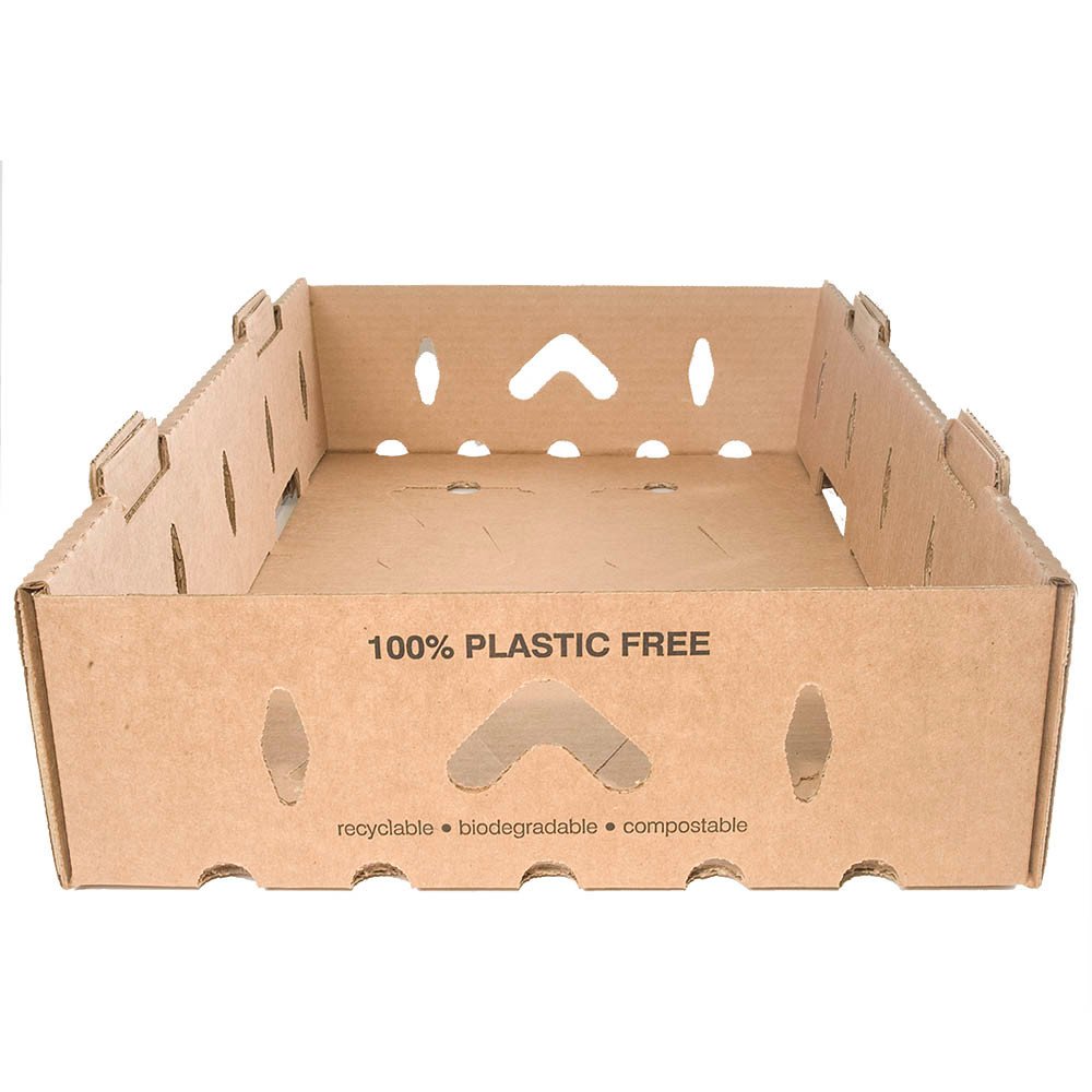 Bagasse Fiber Food Containers for Foodservice & Catering - image 7
