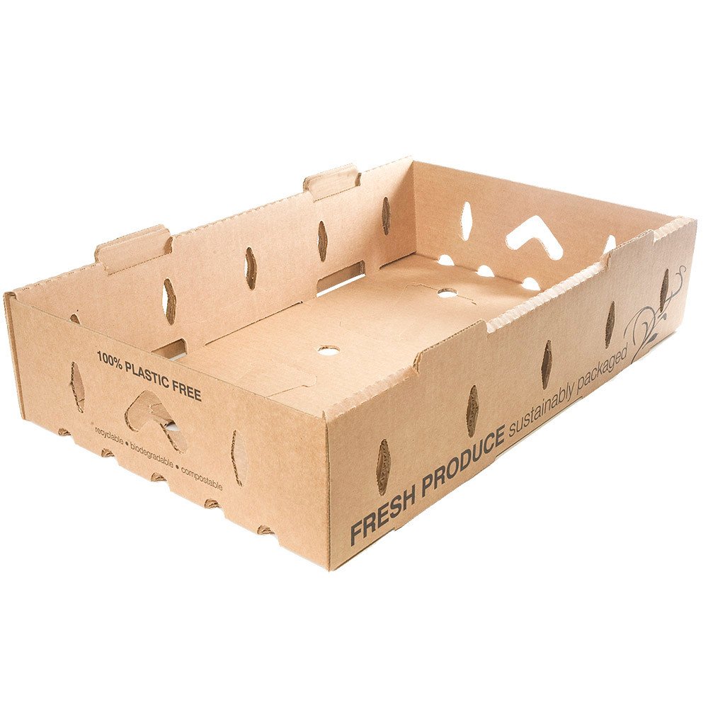 Bagasse Fiber Food Containers for Foodservice & Catering - image 1