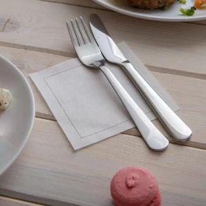 Sustainable Compostable Napkins — Bagasse Fiber for Catering, Events & Quick-Service - image 1
