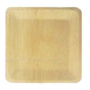 Compostable Plates, Hot Food Safe to 220°F - image 1