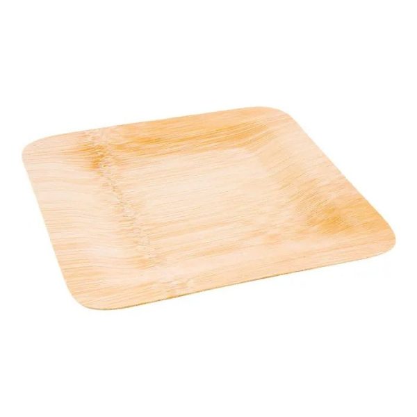 Hot Food to 220°F Compostable Plates for Catering, Events & Banquet Service - image 1