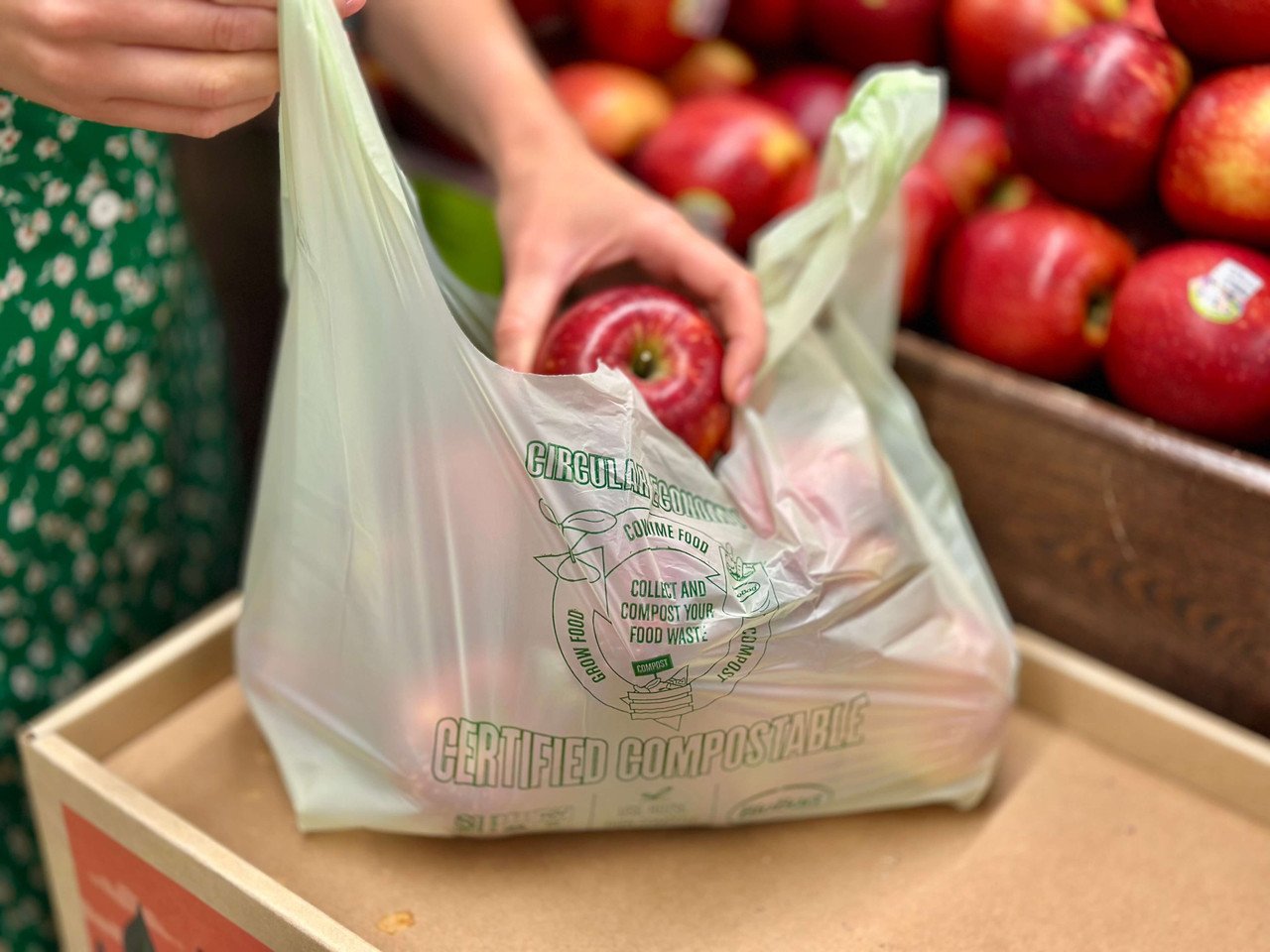 Compostable Food Containers for Foodservice & Catering - image 3