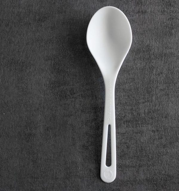 PLA Bioplastic Compostable Spoons for Catering, Takeout & Foodservice - image 1