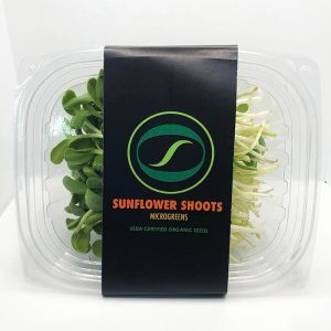 16 oz Compostable PLA Lids for Takeout & Delivery - image 1