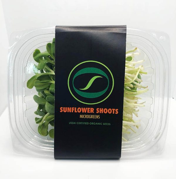 16 oz Compostable PLA Lids for Takeout & Delivery - image 1