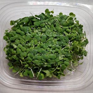 8 oz compostable pla lid, PFAS-free, single product shot