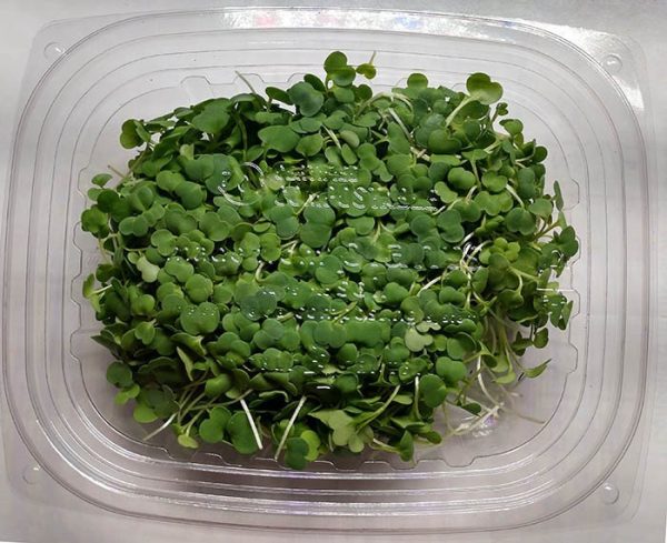 8 oz compostable pla lid, PFAS-free, single product shot