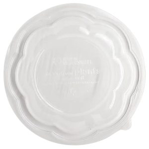 48 oz compostable salad bowl, PFAS-free, single product shot