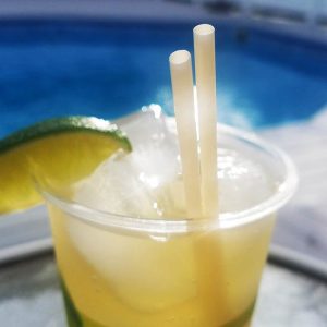 Compostable Straws, Hot Food Safe to 100°F - image 1