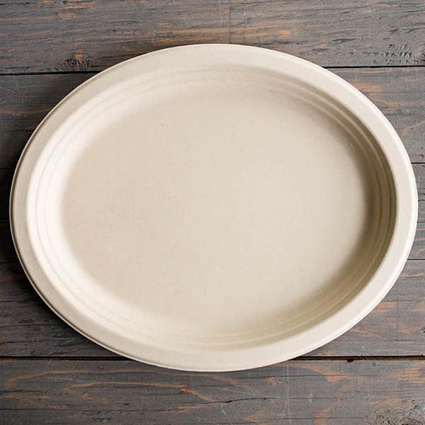 Bagasse Fiber Straws for Foodservice & Catering - image 1