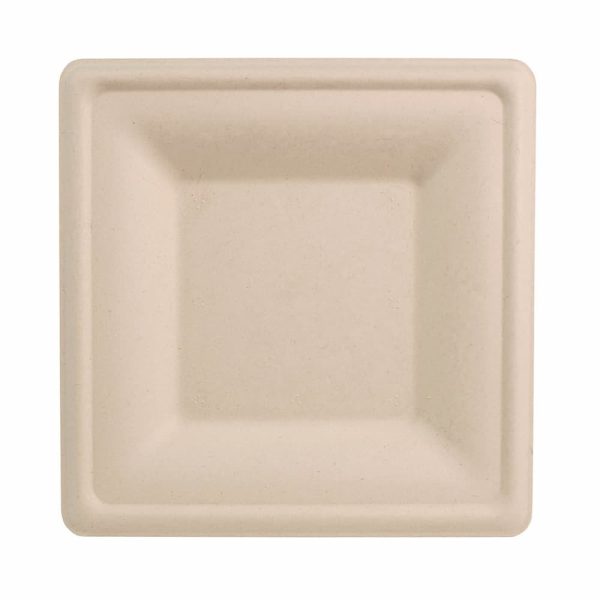 Compostable Straws for Foodservice & Catering - image 1