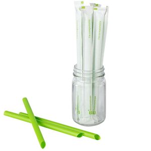 Compostable Straws | Hot Food Safe to 100°F - image 1